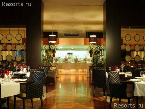 Novotel Hotel 7